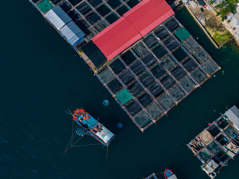 Fish farm cages and boat near floating aquaculture platform, food industry