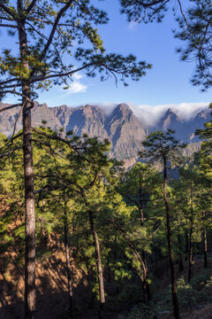 View onto the Caldera de Taburiente from the hike from Mirador La Cumbrecita to Mirador Lomo de las Chozas on La Palma, Canary Islands, Spain.