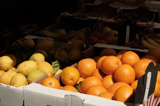 Fresh citrus fruits, oranges and lemons on a market stall