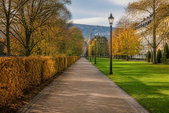 Tree lined pathway in autumn city park with lamp posts