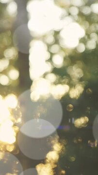 Animation of light spots over trees in forest