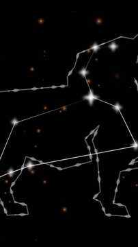 Animation of leo star sign over black background