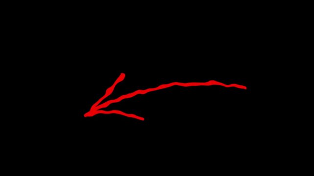 Hand drawn red brush arrow curving upward to the right on a clean white background animation.  Arrow animation on a transparent background, Hand-drawn thin arrow graphic animation. Alpha channel. 4k 