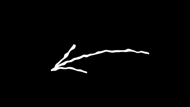 Hand drawn red brush arrow curving upward to the right on a clean white background animation.  Arrow animation on a transparent background, Hand-drawn thin arrow graphic animation. Alpha channel. 4k 
