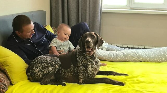 Father and baby son relax with German Shorthaired Pointer dogs at home, family bonding, pet companionship, peaceful domestic lifestyle.