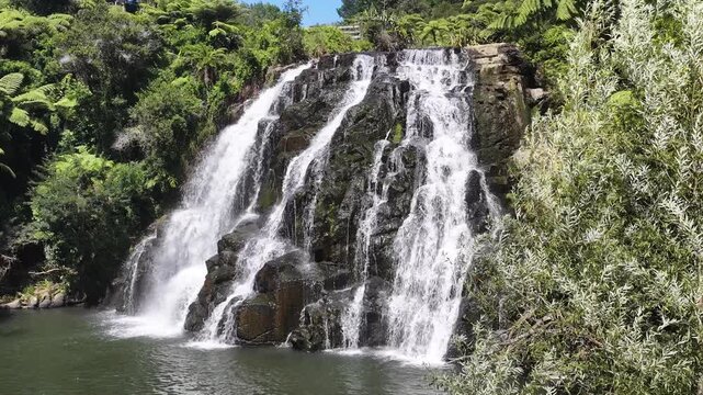 Owharoa Falls drops in multiple streams over a weathered rock ledge, surrounded by vibrant native vegetation and dense forest in Karangahake Gorge, Waikato, New Zealand. Slow motion.