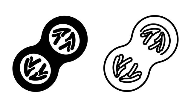 Cell Division Diagram: A visual representation of cellular mitosis, showcasing the process of a cell dividing into two daughter cells, each with identical genetic material.