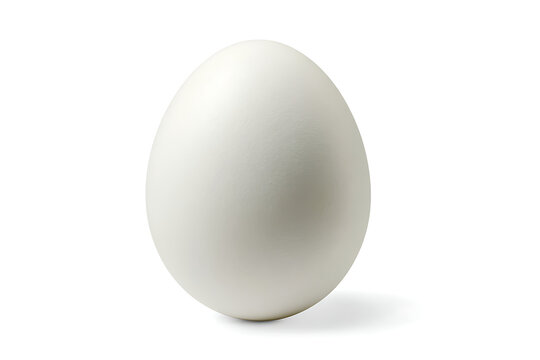 white egg isolated on white