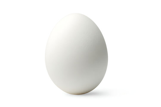 white egg isolated on white