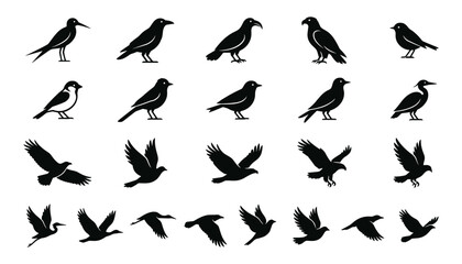 Obraz premium Wild bird silhouette vector icon set featuring flying and standing raven eagle sparrow dove heron and hawk symbols isolated on white background