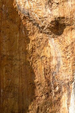 Close-up of weathered sandstone rock face with natural textures