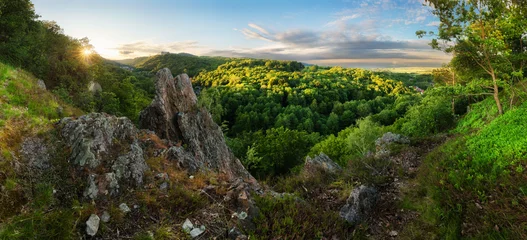 Panorama landscape with spring green forest in Slovakia near castle Cerveny Kamen © TTstudio