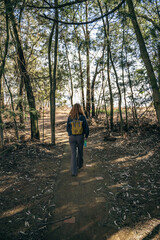 Fototapeta premium Hiker walking along a forest trail with backpack