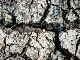 Fototapeta premium Top view of cracked soil ground due to lack of water