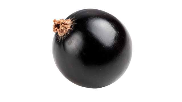 Single fresh ripe sweet glossy black currant berry isolated on transparent background