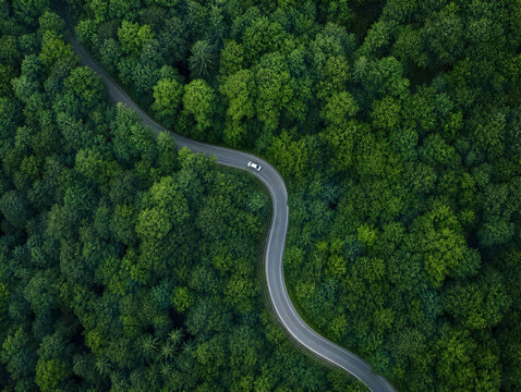 Aerial drone view of a winding asphalt road cutting through a dense, green forest with a single car driving.