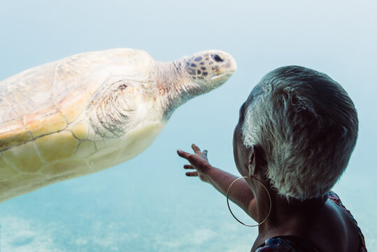 Vieille femme tendant la main vers une tortue. Touriste regardant une tortue dans un aquarium. Soigner les tortues bless&eacute;es. 