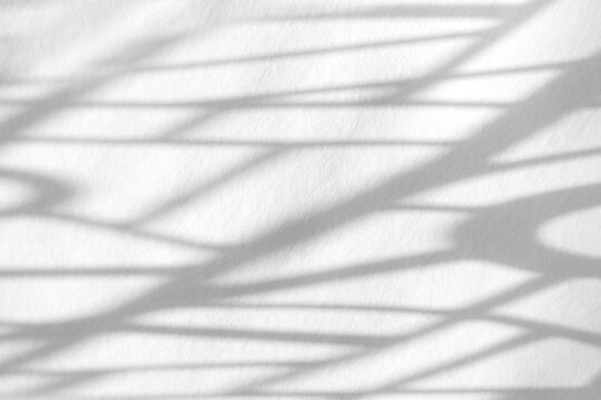 Real dense mesh bare branch shadow cut out on a transparent png background with soft diffused edges. Drops into a trippy psychedelic mockup overlay and psychedelic album cover composition as a png.
