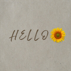 Handwritten hello Typography with Sunflower Replacing Letter O on Gray Textured Background © Olha Tiron
