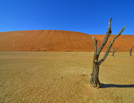 Sossusvlei