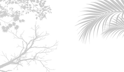 Fototapeta premium Shadow overlay of palm leaves and tree branches isolated on transparent background
