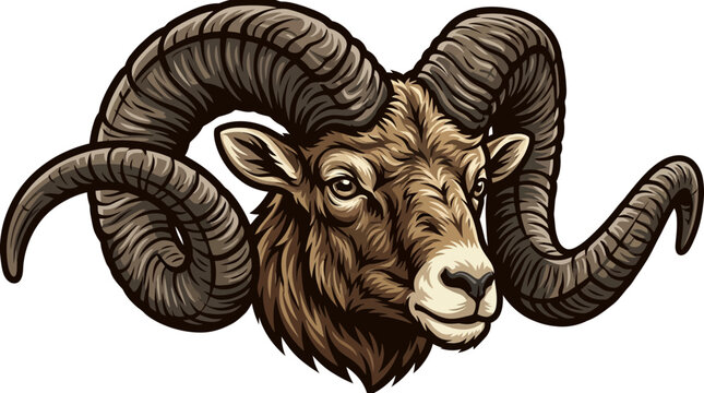 Detailed illustration of a ram head with large curved horns isolated on white.