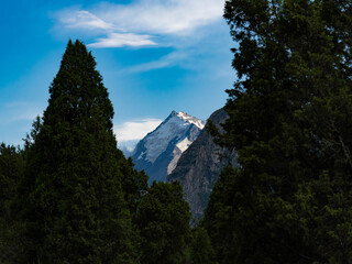 Snow-capped mountain peak framed by forest trees under blue sky © Aleksandr.Kai