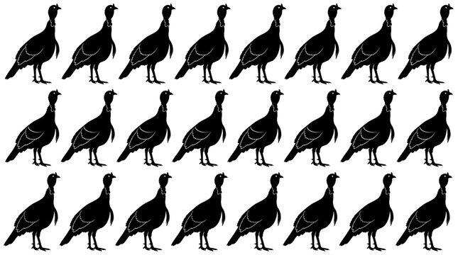 A repeating pattern of black turkey silhouettes arranged in rows on a white background for thanksgiving holiday projects and festive seasonal graphic design