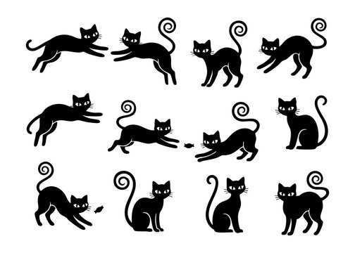 Set of black cat silhouettes in various funny poses and actions for halloween design