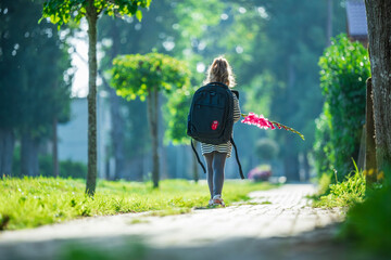 Naklejka premium Little schoolgirl with backpack and gladiolus flower walking on street path to school on sunny first day of september back to school concept in Latvia Europe