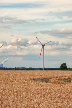 Renewable energy, wind turbines near the golden wheat field