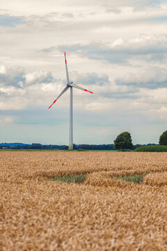 Renewable energy, wind turbines near the golden wheat field