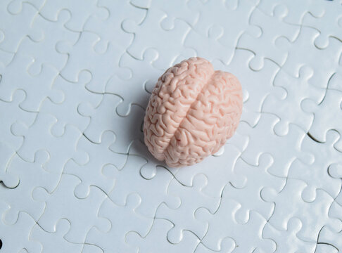 Piece of jigsaw puzzle with human brain for cognitive function, problem solving and mental health.
