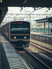 Fototapeta premium 成田駅
