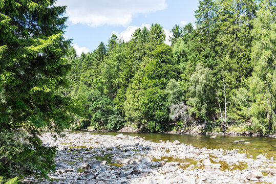 Scenic view of the River Dee near Balmoral Castle, flowing through a wooded Highland landscape with a peaceful riverside walking path in Scotland