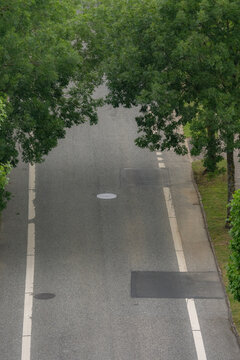 High Angle View of an Empty Asphalt Street Lined with Green Trees