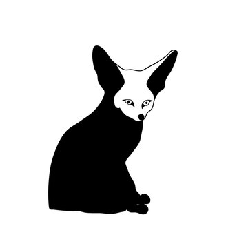 Cute fennec fox sitting line art minimalist animal