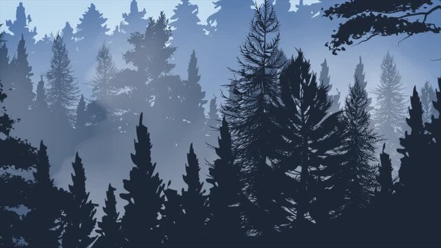 Mysterious Misty Pine Forest Silhouette Animation with Blue Tone Atmosphere