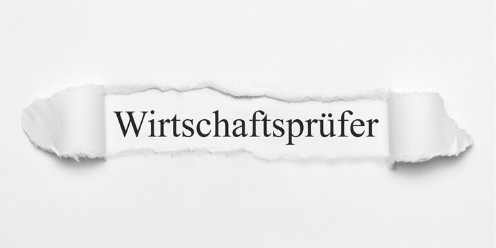 Wirtschaftsprüfer	
