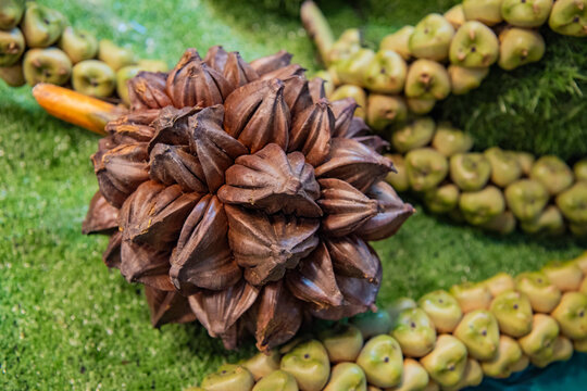 THAILAND KHON KAEN MARKER NIPA PALM FRUIT