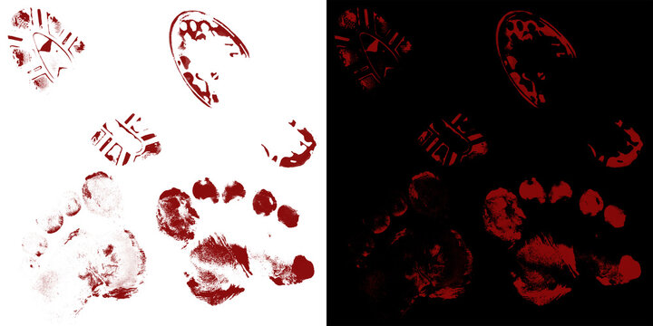 Bloody footprints and boot prints set, red blood splatters on white and black backgrounds, horror crime scene design elements