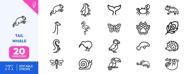 Obraz premium Wildlife set. frog, penguin, whale, crab, chameleon, butterfly, snail, kiwi, hedgehog, flamingo, toucan, tortoise. Editable stroke. Vector illustration.