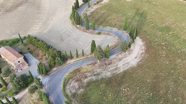 Top-down aerial view of a winding country road through Tuscan fields
