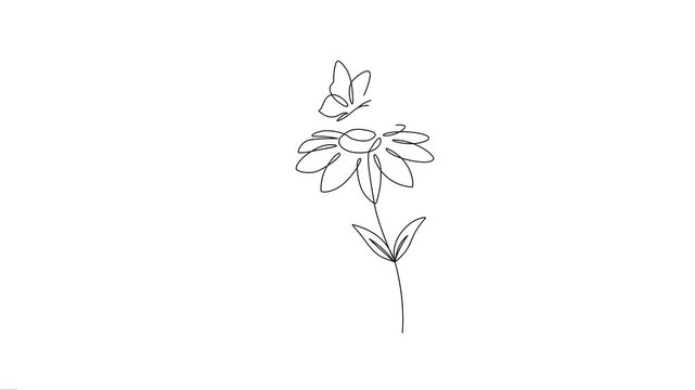 Flower with Butterfly Continuous Line Art Animation.