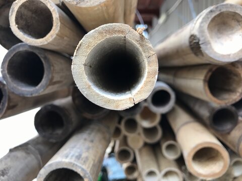 Bamboo art - bamboos are an important element in Hong Kong's construction industry. You can see it is widely used at the initial stage/ renovation stage in buildings.