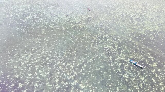 Aerial view of a small boat navigating over the clear shallow waters and vibrant coral reef patterns of the Wakatobi marine area in Tomia, South East Sulawesi, Indonesia.
