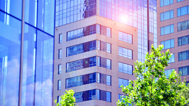 City life, urban landscape and ecology.  Modern office complex with glass facades and smooth lines against backdrop of green trees, concept of modern architecture. Organically building into nature.