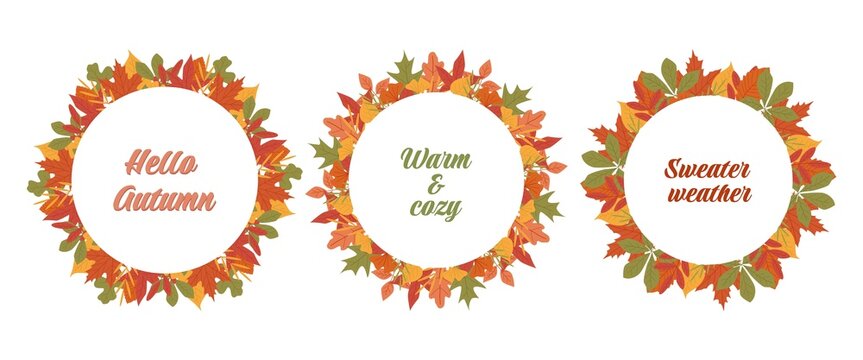 Three autumn wreaths with colorful leaves and seasonal quotes Hello Autumn, Warm cozy, and Sweater weather.