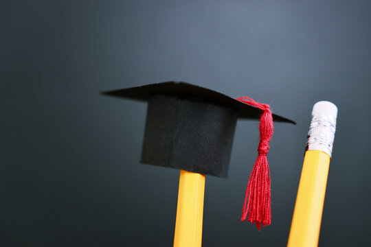 Back to school or education concept. Small graduation hat