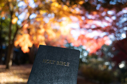A close-up of a closed black Holy Bible against a soft bokeh and bright autumn foliage background at Shirao Mountain Park, Fujinomiya, Japan.